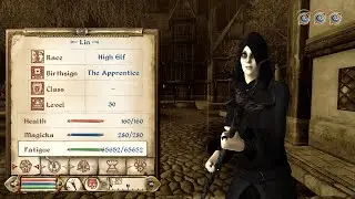 Oblivion: How to Get a Teleportation Potion