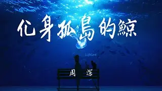 周深-化身孤島的鯨 （我曾經的入坑曲！）  「我是只化身孤島的藍鯨 有著最巨大的身影 魚蝦在身側穿行 也有飛鳥在背上停」【動態歌詞/Lyrics/無損音質/抖音】♪