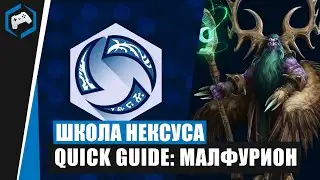 ШКОЛА НЕКСУСА 