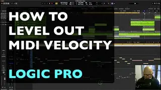 HOW TO LEVEL OUT MIDI VELOCITY in Logic Pro