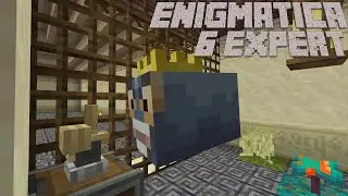 Bosses, Bees, and Lightning Automation: Enigmatica 6 Expert Minecraft 1.16.5 LP EP #11