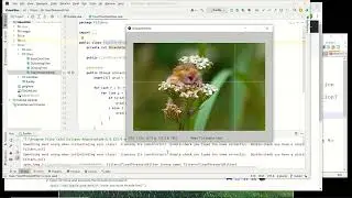 Image processing framework quick check