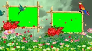 Wedding Green Screen Effects || blue screen background video effects hd || Green Screen #EditingZone