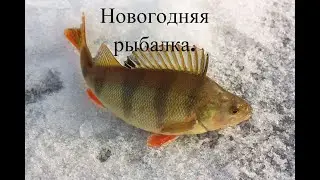 Рыбалка на Ине. озеро заповедное.