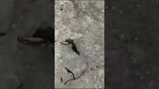 Detik Detik AC Meledak Saat Dihidupkan & memakan korban jiwa