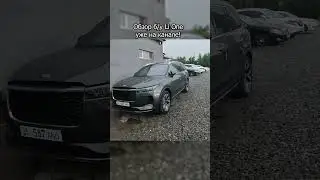 Li One и его анимации