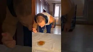 When the dog wants to go to the toilet 💩 #shorts #funnydogs #питбульджина #cutedogs