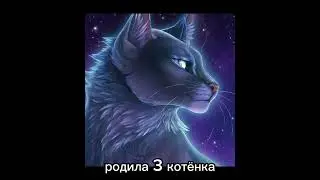 как же они схожи.... ТГ канал - https://t.me/BelolapaWC  #синяязвезда  #кленовница #возрадимрукв