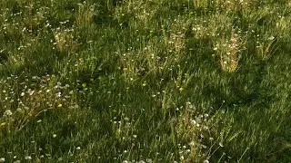 VRay Scatter - Landscape Creation - Rhino 7