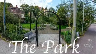 The Park 🌴🌱🌿☘️