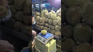 durian#shortvideo #durian #durianenak #malaysia