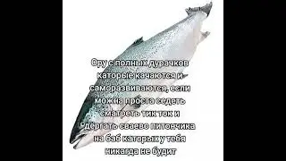 21 октября 2023 г.