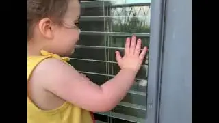 Priceless moments - Funny Baby And Dog // The Babies World // #Shorts