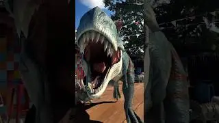 Мои друзья 🦖💕 #animation #art #3d #creative #vfx #3danimation #dinosaur #digitalart