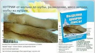 Выделка шкурок  лисы на сайте Нутрии от малька до шубы