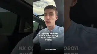 Инструкция правильного отдыха #какотдохнуть #психология #осознанность