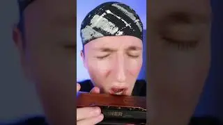 😳 Drake - Polar Opposites | chromatic harmonica solo 🌟