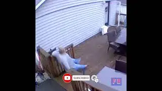 Try Not To Laugh Funny 2022 | Fail Out