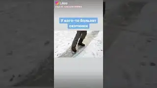 Слова наоборот 