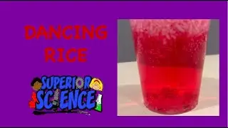 Superior Science  At Home: Dancing Rice