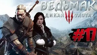 Ведьмак 3 Дикая Охота Прохождение на русском #17 ► Сюжетные задания [Часть 13]