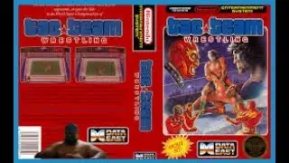 tag team wrestling/NINTENDO 8 BITS.