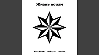Жизнь ворам