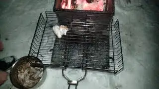 Куриные крылышки