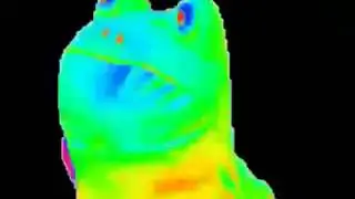 DANCING RAINBOW FROG MLG MEME
