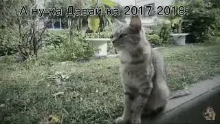 Хммм.... Эдит:(😔 
