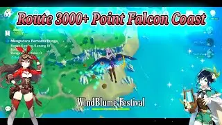 Route 3000+ Point Falcon Coast || wind blume festival - Genshin Impact
