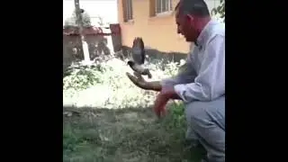 .. между прошлым и будущим