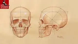 How to Draw a Skull