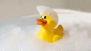 Стрим из ванны с уточкой (победитель аукциона)
