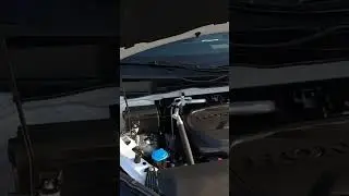 2025 Honda Odyssey Sport-L Engine Details