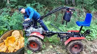 За лисичками. Мотоблок УГРА 4х4 с адаптером.