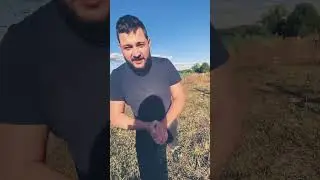 #проверяем