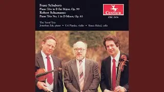 Piano Trio No. 1 in B-Flat Major, Op. 99, D. 898: III. Scherzo: Allegro