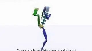 pay motion capture data Karate  -tobinidangeri-