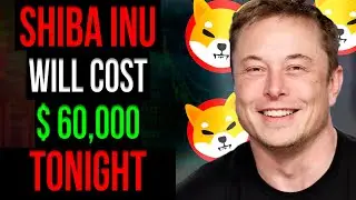 IF YOU ARE A SHIB HOLDER YOU NEED TO SEE THIS NOW!! SHIBA INU COIN LATEST NEWS