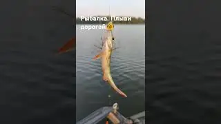 Рыбалка. Шустрый Ёршик. 