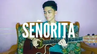 Señorita - Shawn Mendes & Camila Cabello (Fingerstyle Guitar Cover) Mark Wu