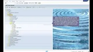 Applexus Asset Value Check in SAP