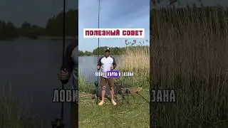 Попробуйте применить при ловле карпа 