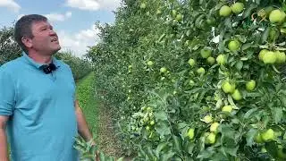 Обзор ситуации в саду на 15 августа