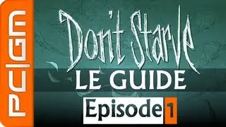 Don't Starve, Le Guide #1 : Les Bases de la Survie | Jour 1 à 4