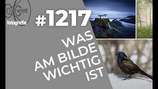 WR1217 Was am Bilde wichtig ist (Videoteil)