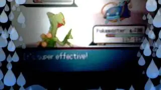 Pokemon Sapphire:  solving the 8th gym puzzle and beating gym leader wallace