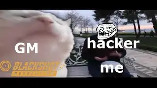 Blackshot Meme The Gms And The Hackers