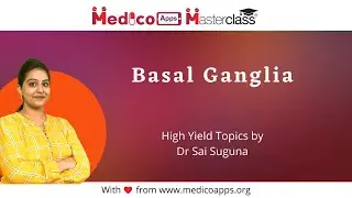 Basal Ganglia